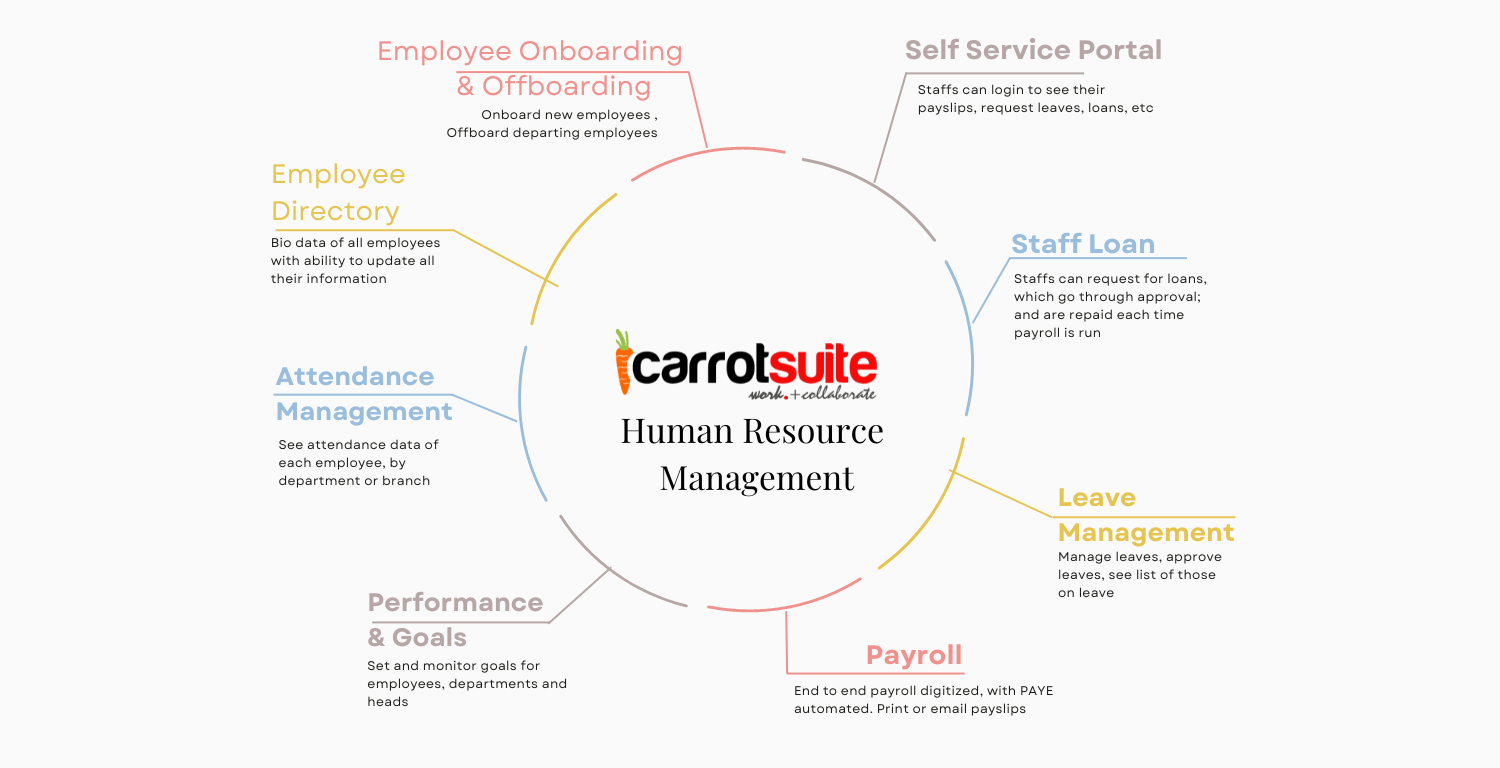 HR software In Nigeria |HR management software in Nigeria
